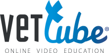 Vettube